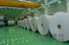 芬林集團(tuán)年產(chǎn)150萬(wàn)t紙漿項(xiàng)目正式啟動(dòng)